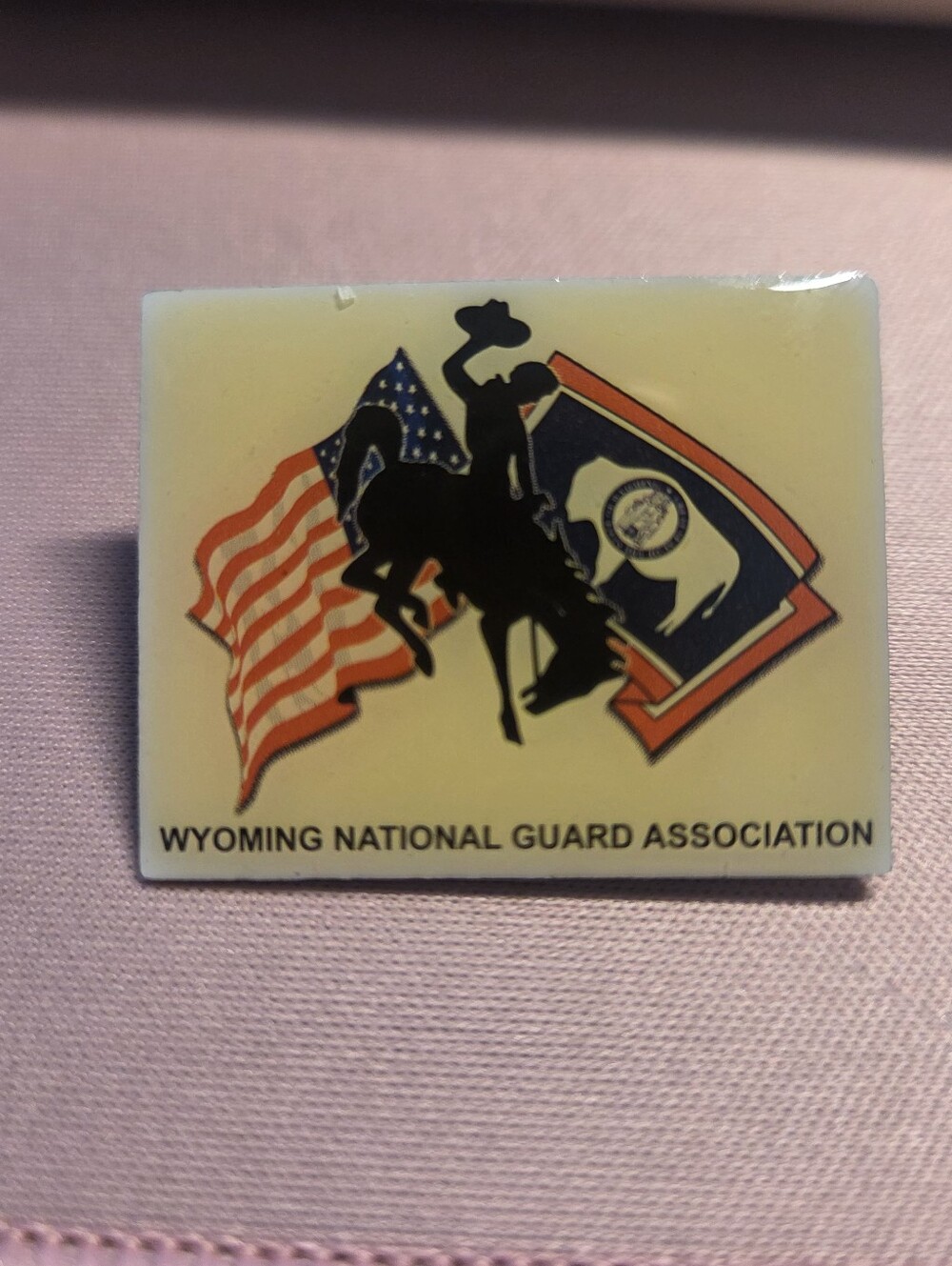Vintage Wyoming National Guard Association Pin Button Z4